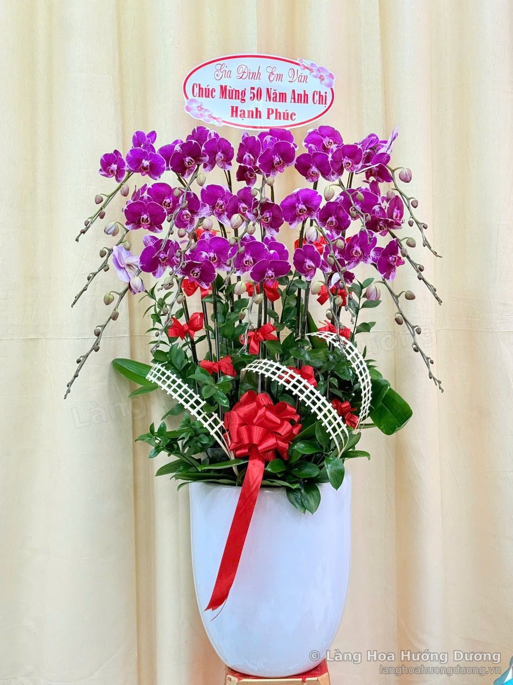 Chậu lan Hồ Điệp tím viền trắng trong chậu sứ trắng, ốp lưới và nơ đỏ