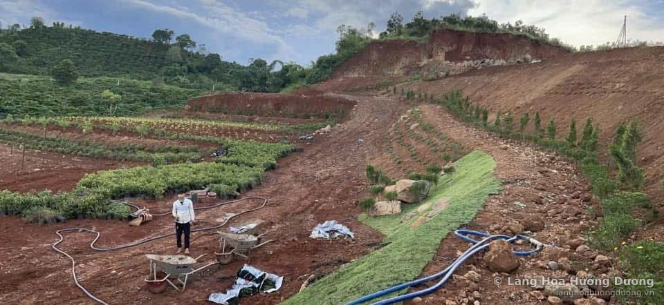 Mặt bằng đồi đất đỏ đang được san gạt, có người đứng và ống nước chạy dọc