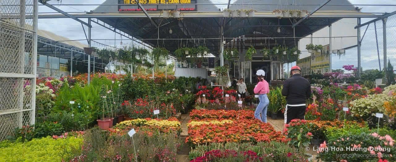 Cửa hàng thi công thiết kế cảnh quan với luống hoa kiểng, chậu treo và khách đang chọn cây