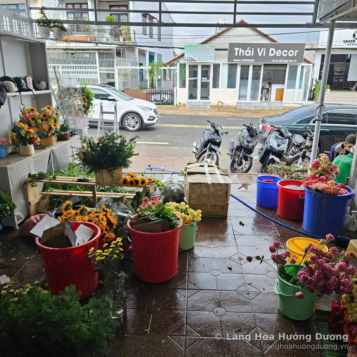 Khu cắm hoa phía trước cửa hàng với xô hoa hướng dương, hoa hồng và chậu cây