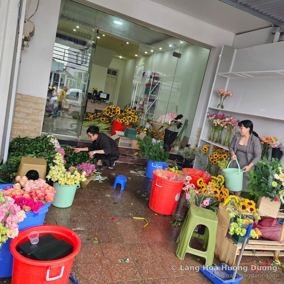 Xô hoa hướng dương, hoa hồng và hoa cúc đặt trước cửa kính của cửa hàng