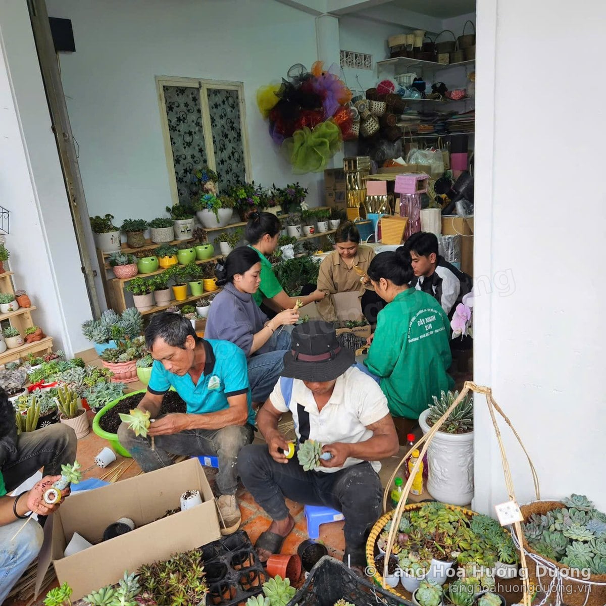 Cả đội cắm cây trong cửa hàng, kệ chậu nhiều màu phía sau