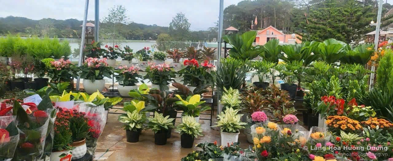 Khu trưng bày cây cảnh trong nhà kính nhìn ra hồ, có hoa chậu, cây lá màu và cây xanh