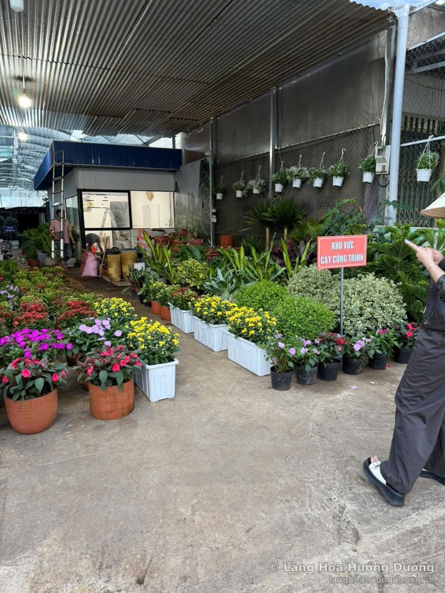 Lối vào nhà lưới có hoa chậu nhiều màu xếp hai bên, biển chỉ khu cây công trình