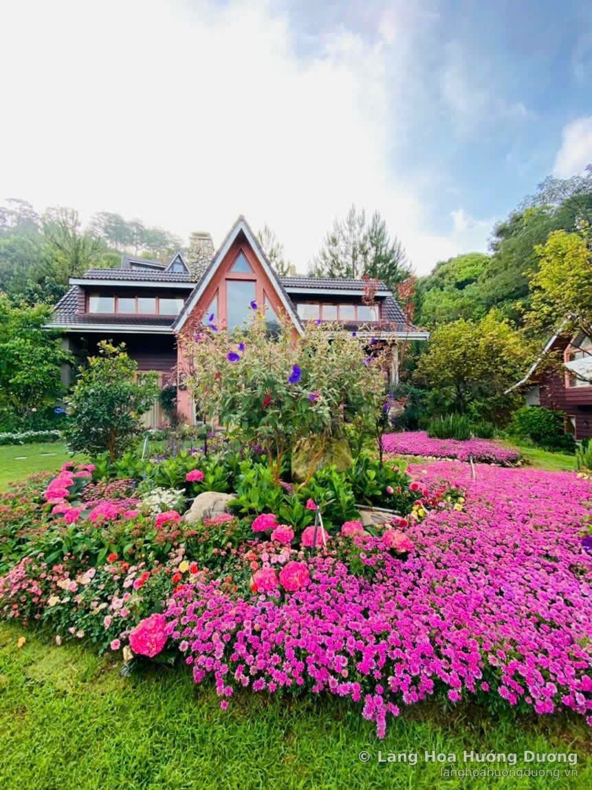 Mặt tiền nhà gỗ nhìn từ vườn hoa tím hồng