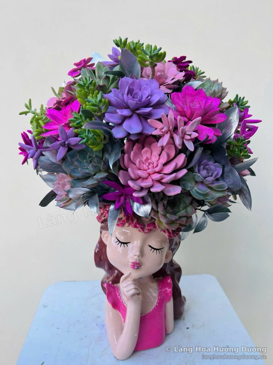 Chậu Sen Đá Cô Gái Tím Hồng