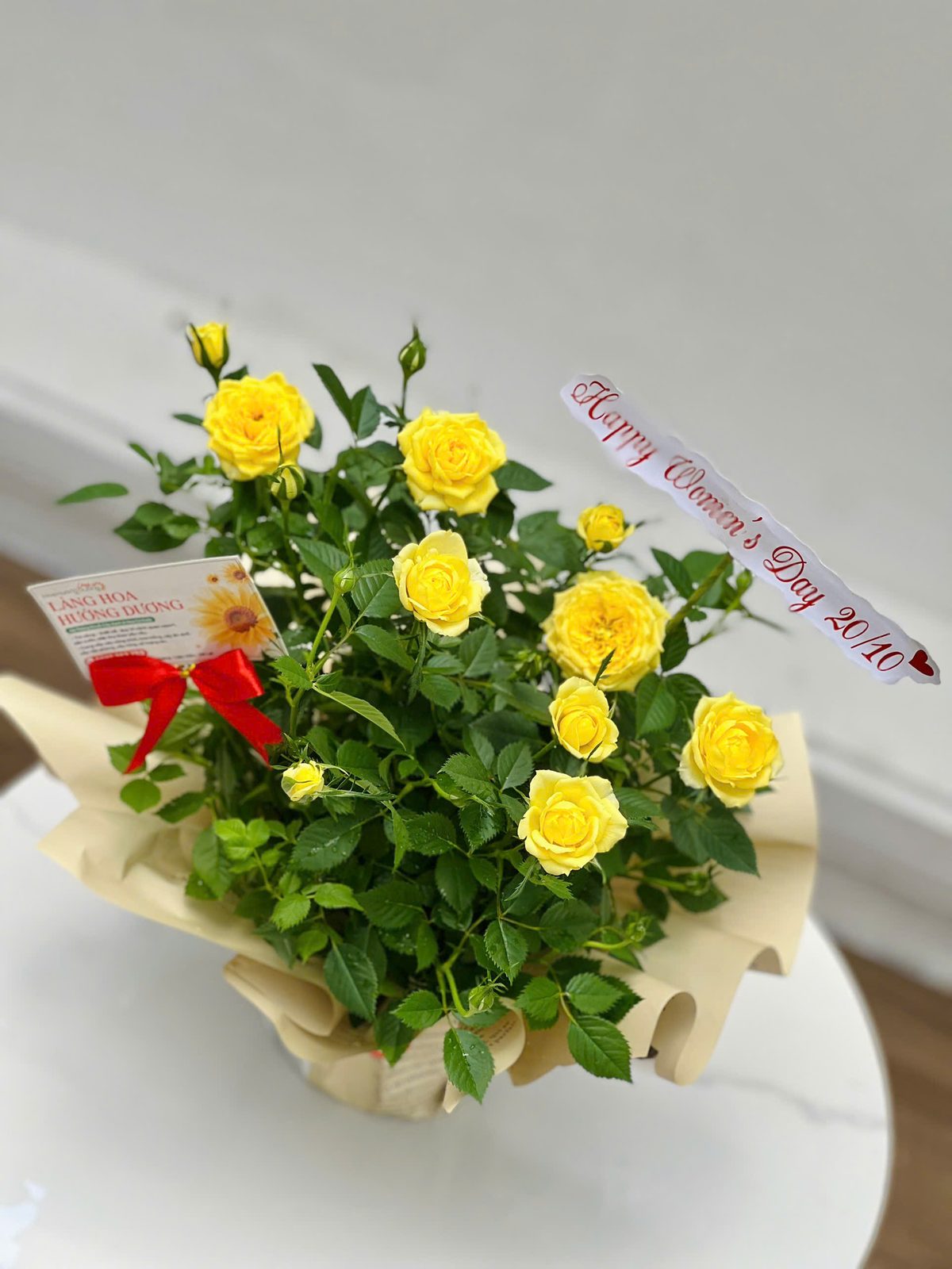 Hồng Tỉ Muội Vàng Gói Giấy Kraft Nơ Đỏ