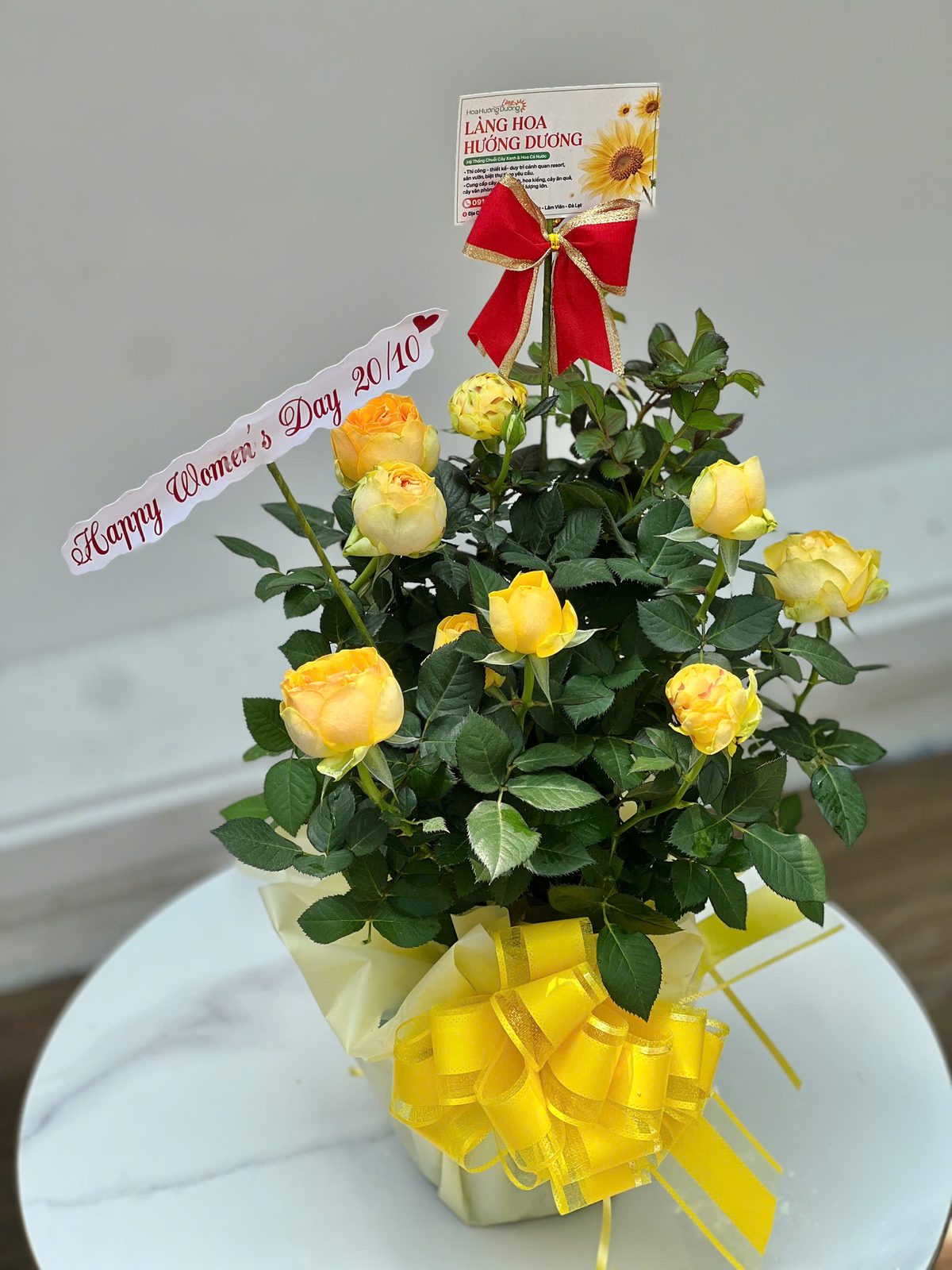 Hồng Vàng Mơ Gói Giấy Kem Nơ Vàng