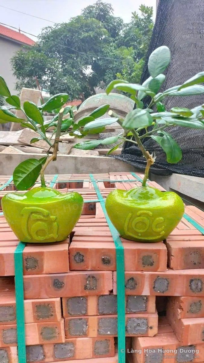 Hai thỏi vàng màu xanh nổi chữ Tài và Lộc, mỗi thỏi mọc một mầm lá xanh, đặt trên chồng gạch đỏ